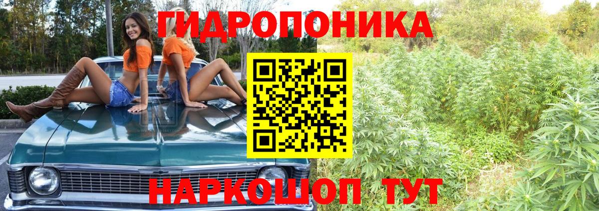 Конопля LSD WEED  Конопля план  Моздок  Вход с VPN  Бошки марихуана марихуана 